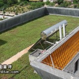 惠州市德明物业崇明 - 楼顶绿化楼顶隔热工程案例