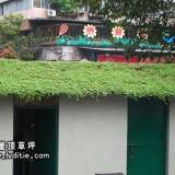 铁皮上的屋顶草坪 - 房顶隔热绿化案例