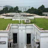 广州祈福屋顶 - 屋顶隔热屋顶绿化案例