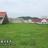屋顶绿化植物 - 小区屋顶草坪工程案例