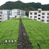 广西凭详市第一小学屋顶草坪第一期工程完毕屋顶绿化案例